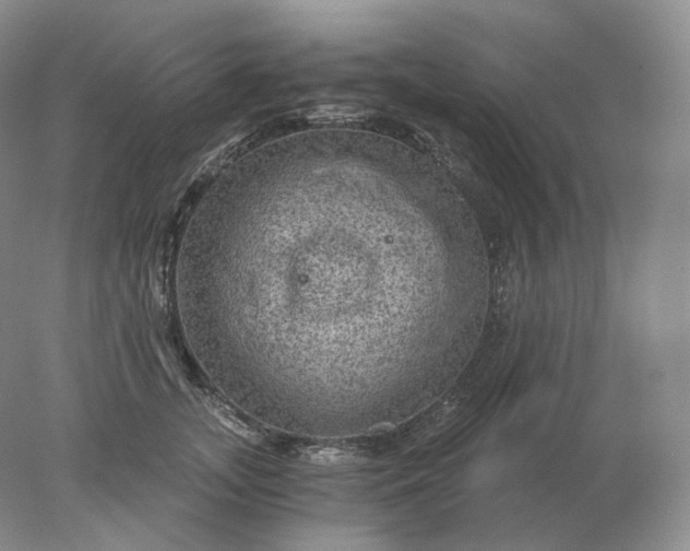 X0000078300755200611172148