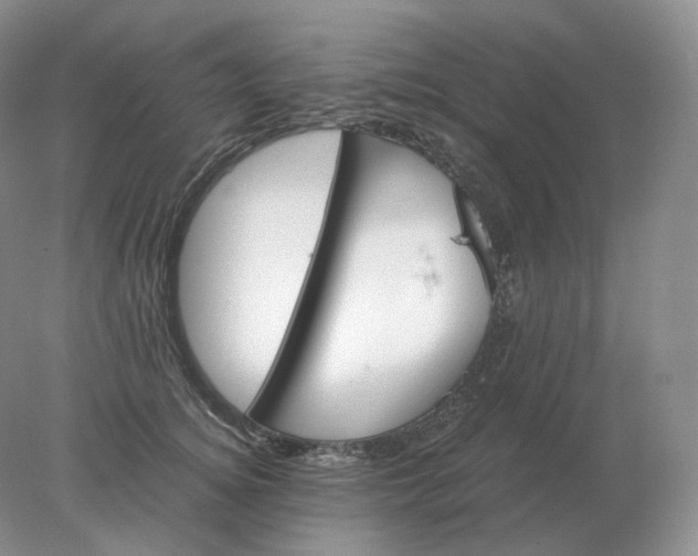 X0000078300756200611172148