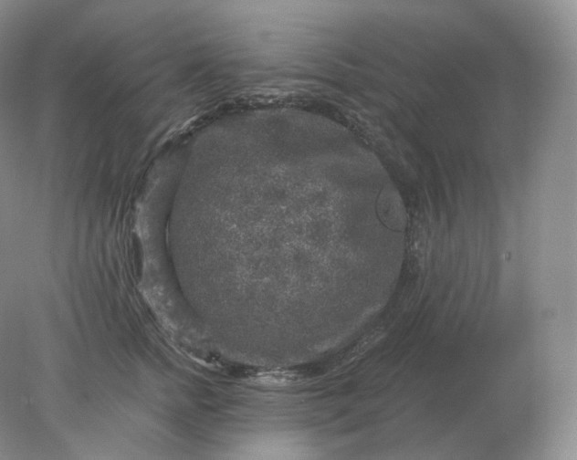 X0000078300758200611172148