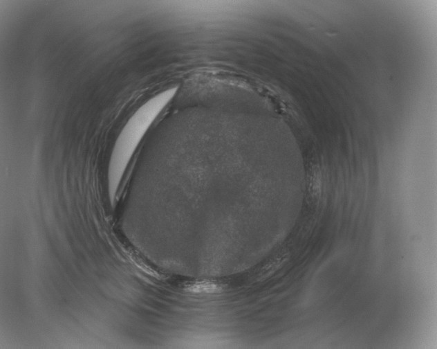 X0000078300759200611172148