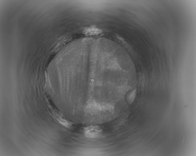 X0000078300761200611172148