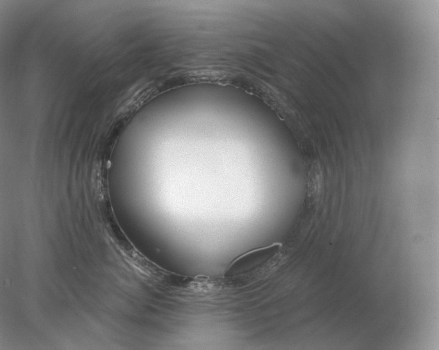 X0000078300764200611172148