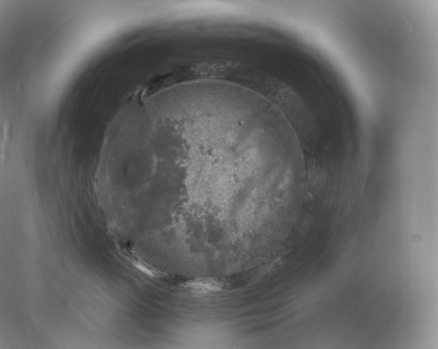 X0000078300765200611172148