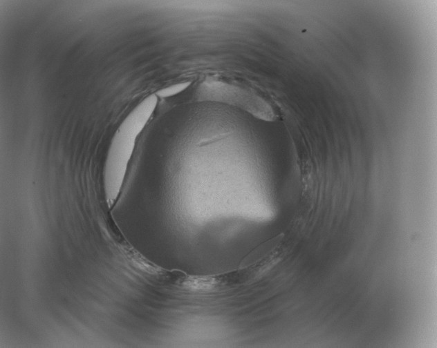 X0000078300767200611172148