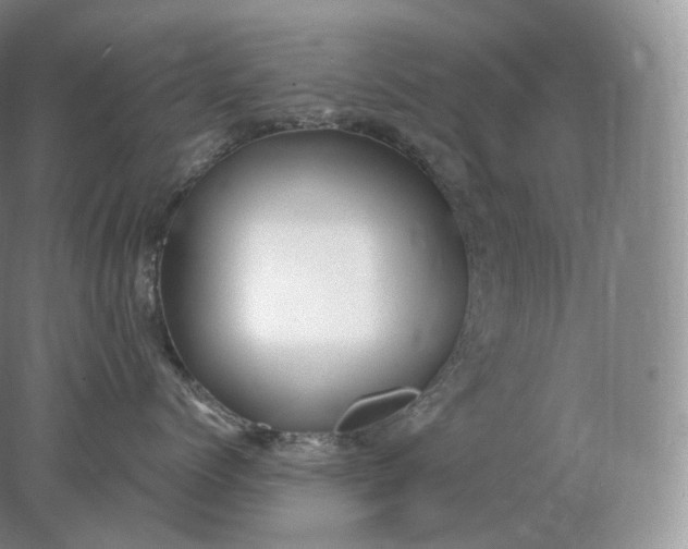 X0000078300768200611172148