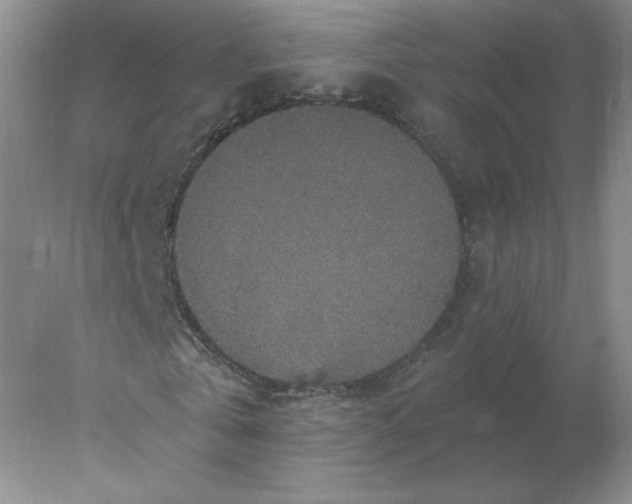 X0000078300769200611172147