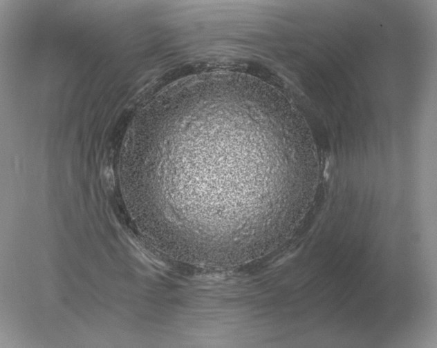 X0000078300771200611172147