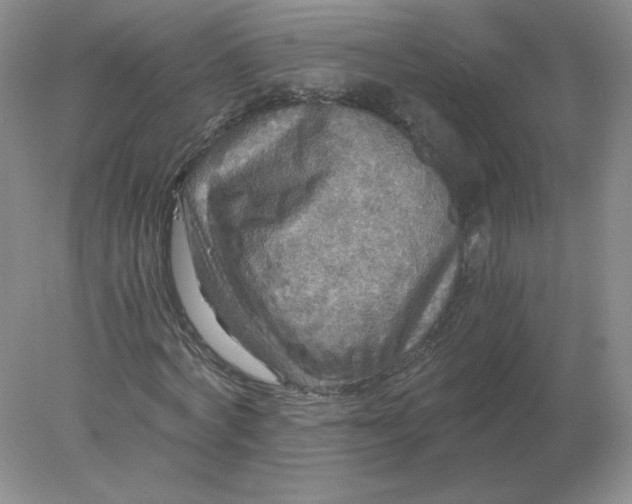 X0000078300772200611172147