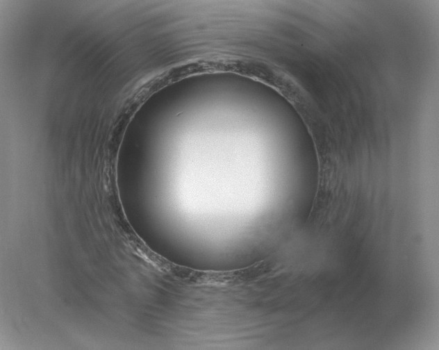 X0000078300773200611172147