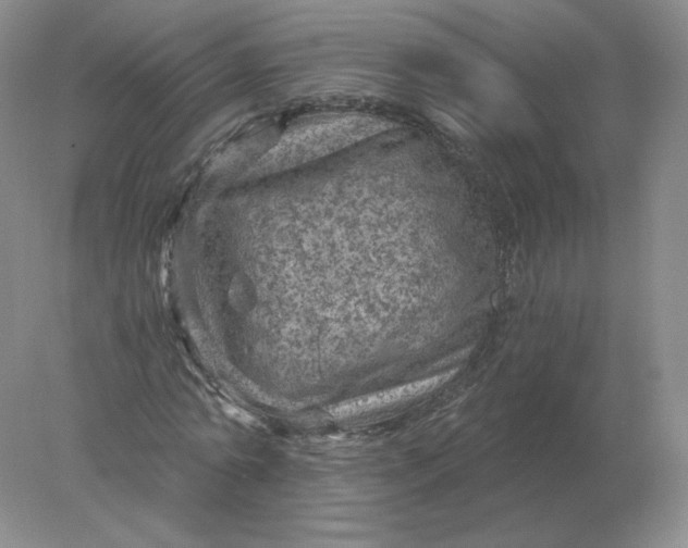 X0000078300774200611172147