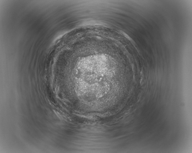 X0000078300775200611172147