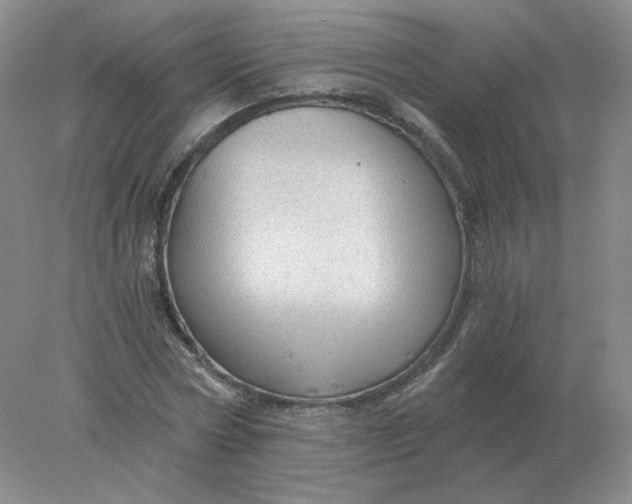 X0000078300778200611172147