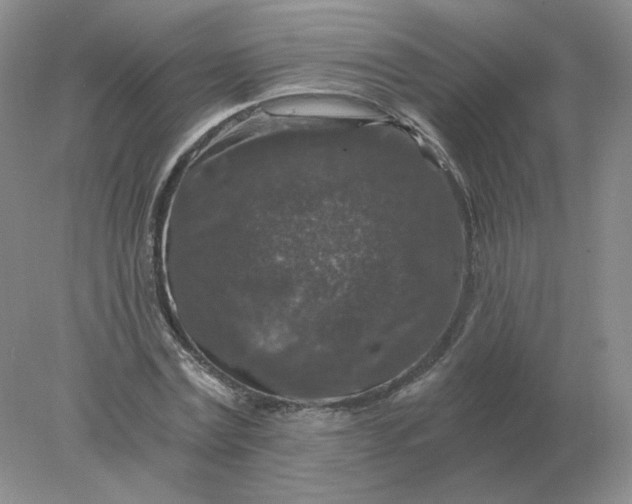 X0000078300779200611172147