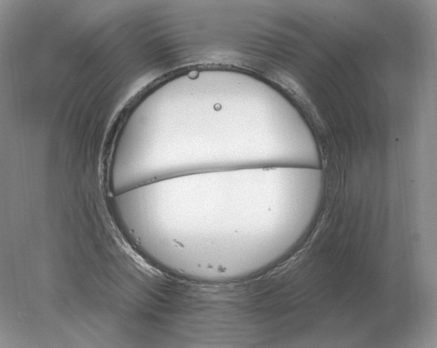 X0000078300780200611172147