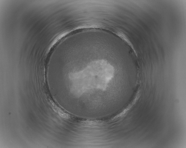 X0000078300781200611172147