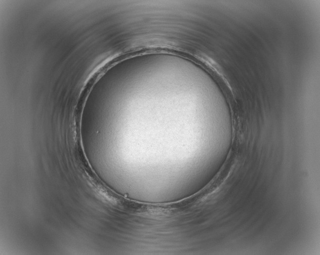 X0000078300782200611172147