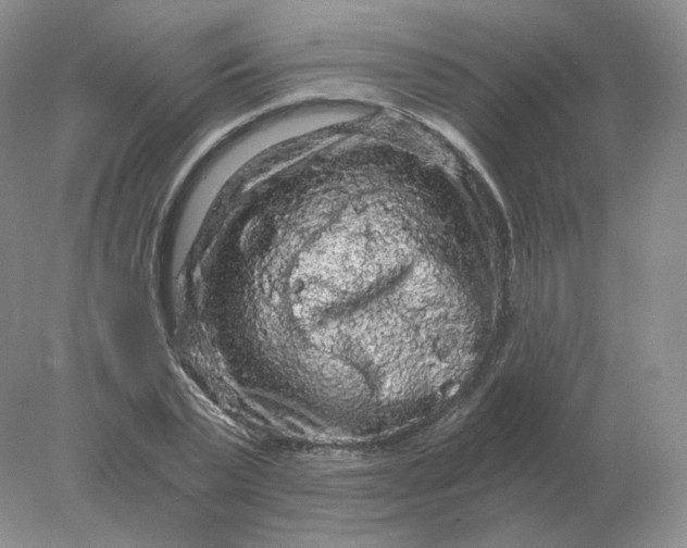 X0000078300783200611172147