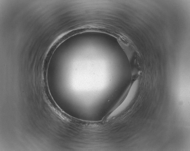 X0000078300784200611172147