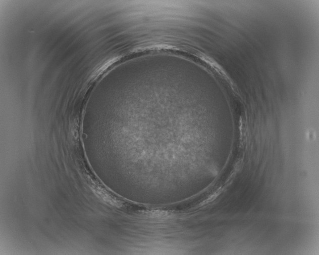 X0000078300785200611172147