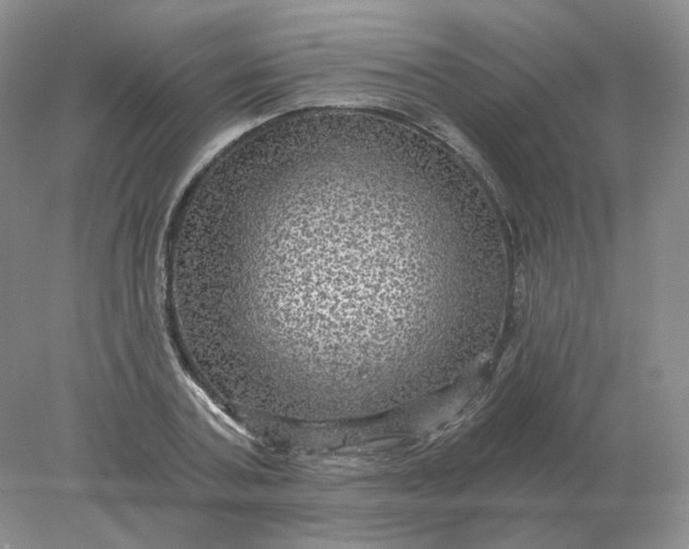 X0000078300787200611172147