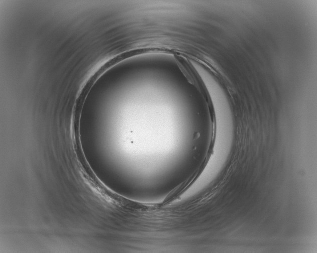 X0000078300788200611172147