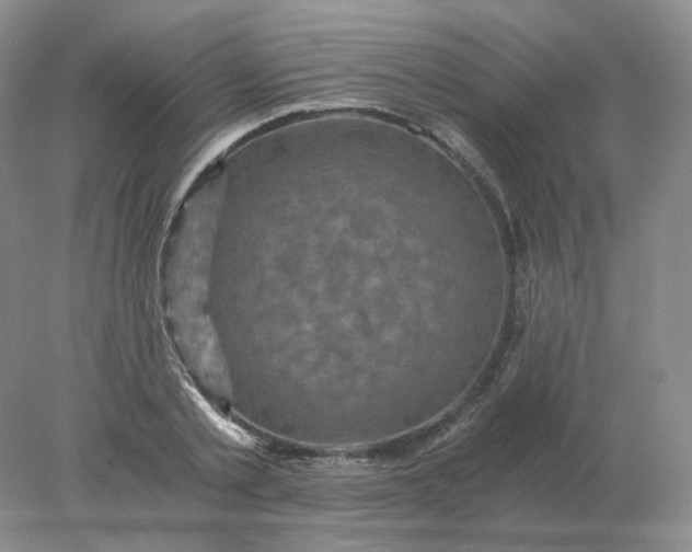 X0000078300789200611172147