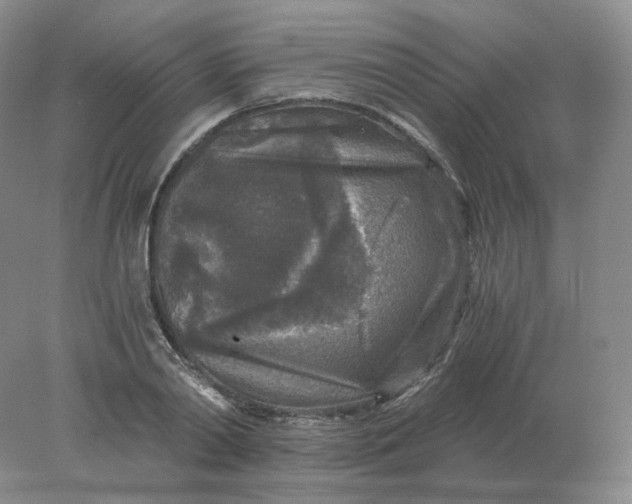 X0000078300790200611172147