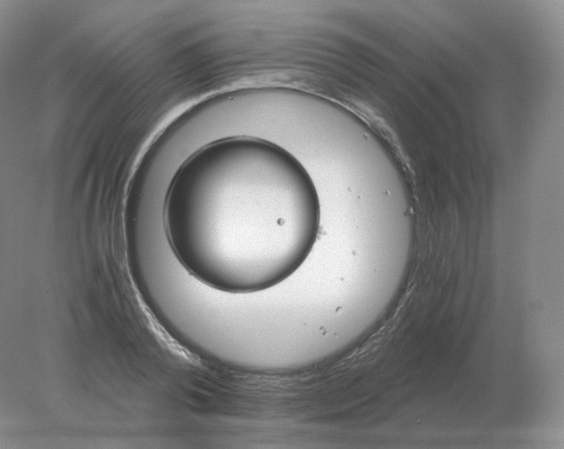 X0000078300792200611172147