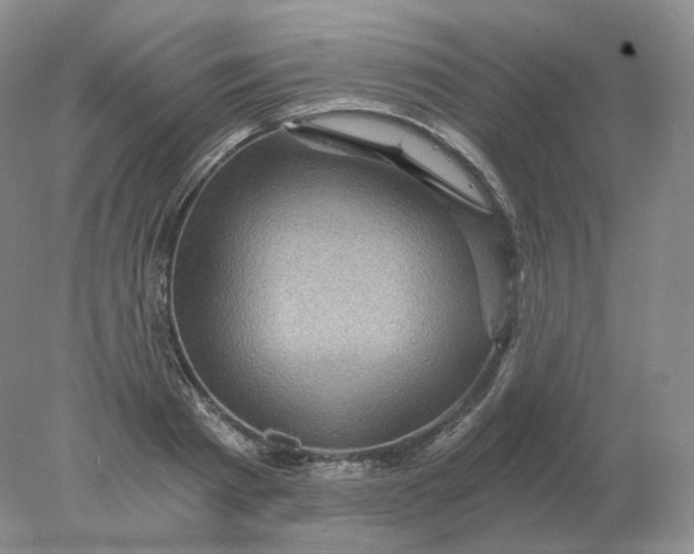 X0000078300793200611172147