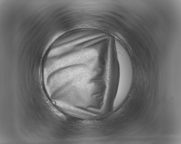 X0000078300796200611172147