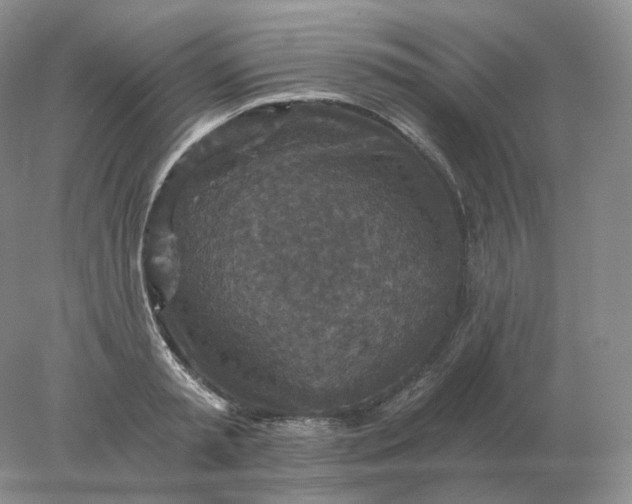 X0000078300797200611172147