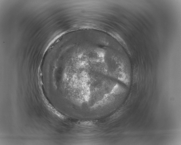 X0000078300798200611172147