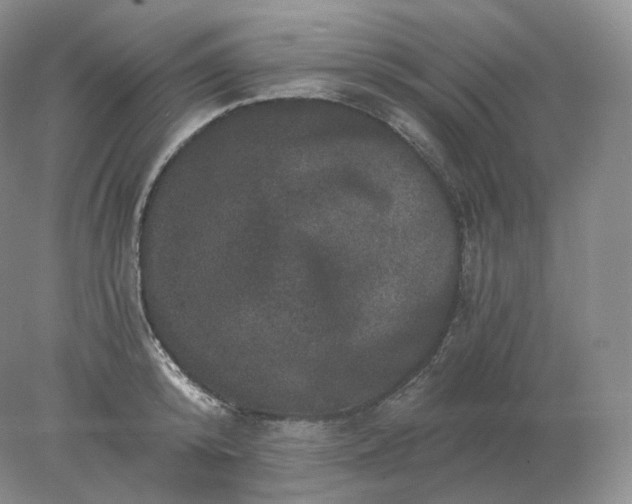 X0000078300800200611172147