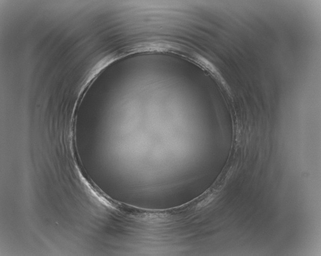 X0000078300802200611172147