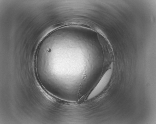 X0000078300803200611172147