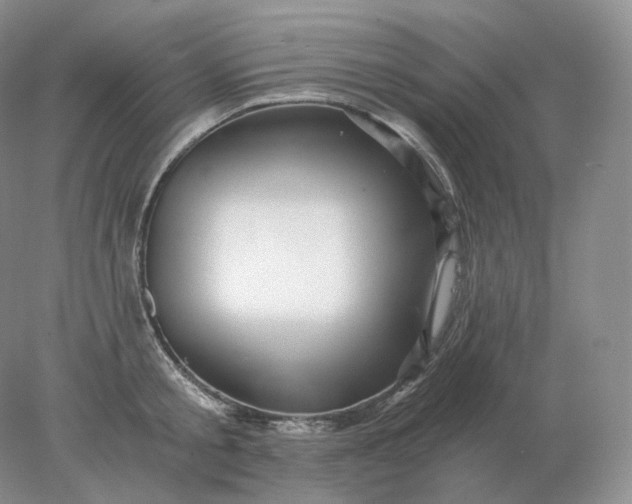 X0000078300805200611172147