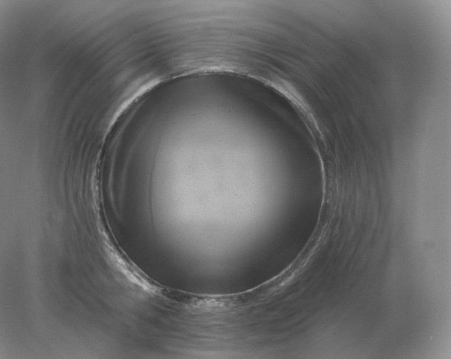 X0000078300806200611172147