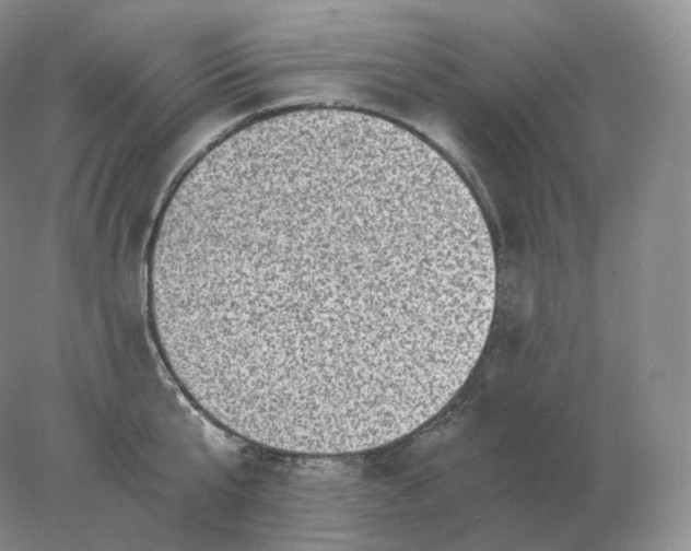 X0000078300807200611172147