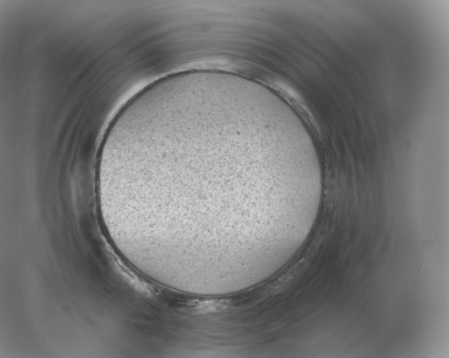 X0000078300808200611172147