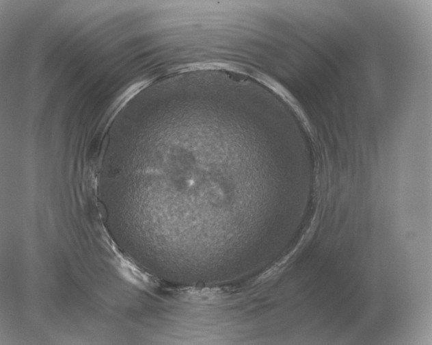 X0000078300809200611172147