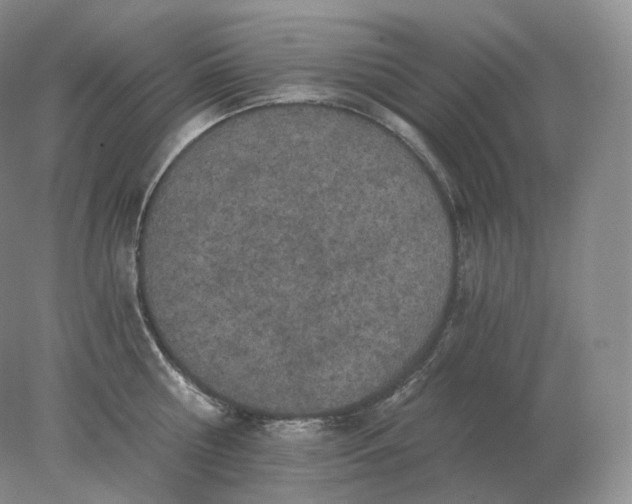 X0000078300810200611172147