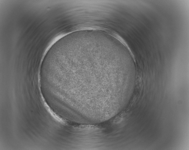 X0000078300811200611172147