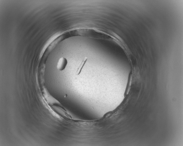 X0000078300812200611172146