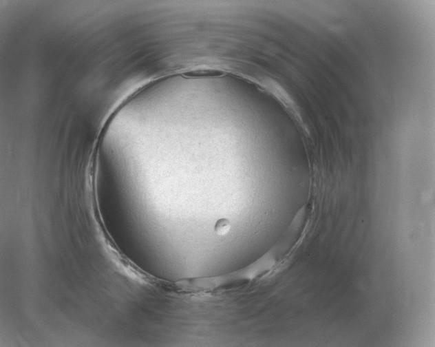 X0000078300814200611172146