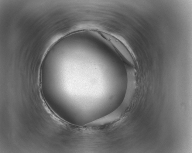 X0000078300815200611172146