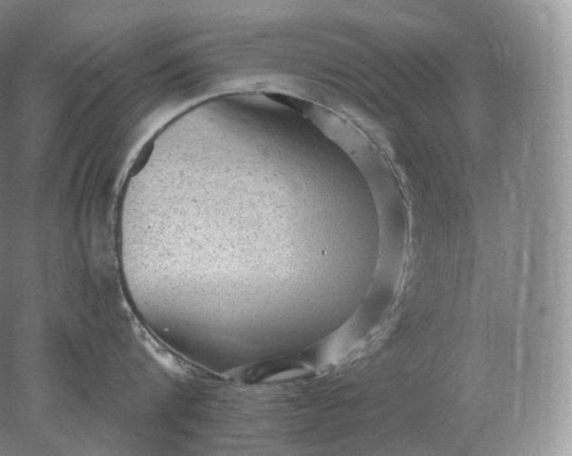 X0000078300816200611172146