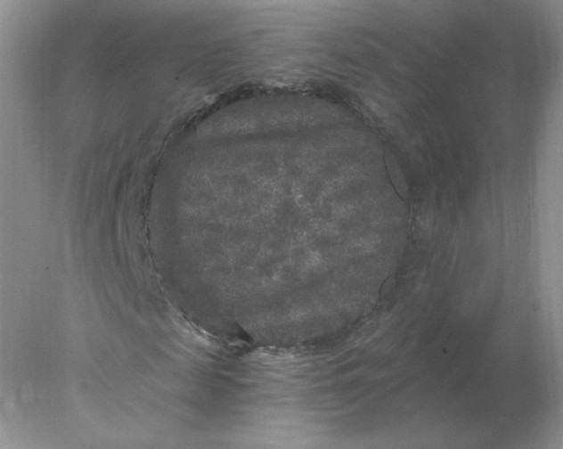 X0000078300817200611172146