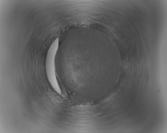 X0000078300818200611172146