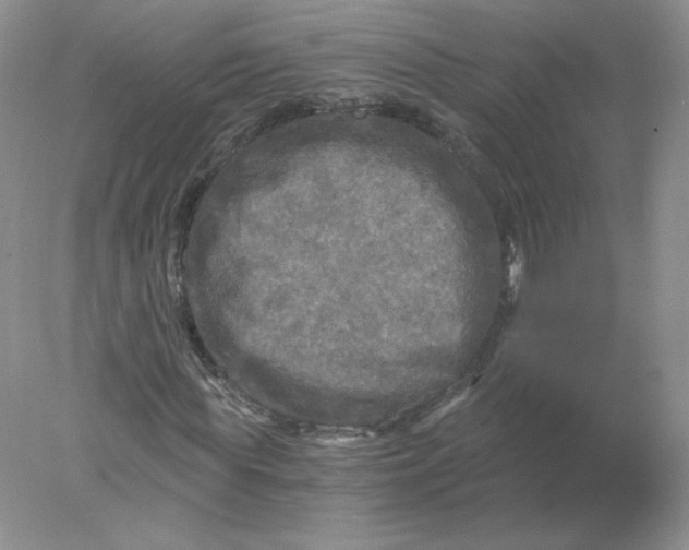 X0000078300819200611172146