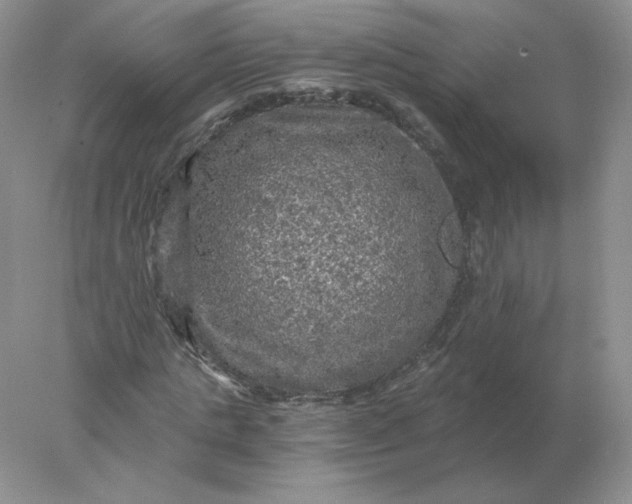 X0000078300821200611172146